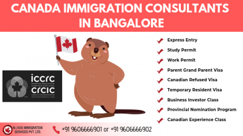 Migrate wherever you wish either Australia or Canada with express entry program with Novus Immigration. Choose the right destination for your career and get started today! 

Features of Novus Immigration: Same Day Consultation. Fully Trained Team. Quick Turnaround Times. Free Visa Assessments Available, Providing A Dedicated Local Case Manager. Free Counselling, Easy and Fast 100% Approval system, Quality Advice with Trusted Experts. Chat Support Available. With 16+ Years Of Experience. 

Expert immigration consultants in Bangalore. Get A Quick and Free Assessment. Providing all kinds of Visas for work and study purposes. 100% Refund Policy. Because Your Success is Our Pride.

Call immediately for our PR experts & check eligibility and Get PR within 6 Months. Time running fast for best deals! Visit us for the best immigration consultants in Bangalore.

Call us to discuss.

Contact Us:
Mobile No: 9606666901/2
Website: https://www.novusimmigration.com/